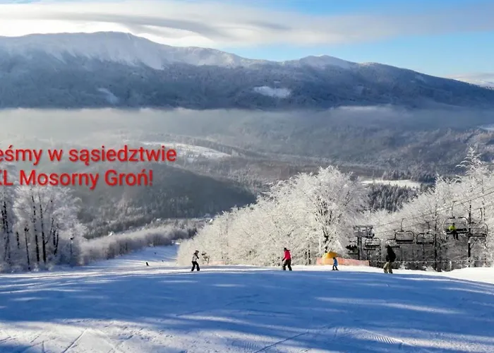 1895 - Sauna I Bania זאבוייה